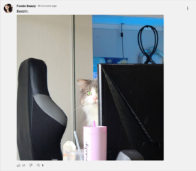 Screenshot 2022-08-23 at 22-05-18 Foodie Beauty - YouTube.png