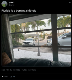 florida.png