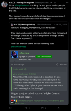 Screenshot 2022-08-24 at 12-01-03 Tweets with replies by ASC♊︎ Harlequin Boywife (@HaileyAdams...png