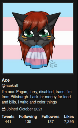 acekatt2.png