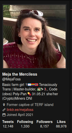 mejafoss.png