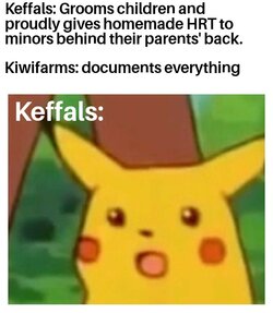 Surprised Pikachu 25082022110256.jpg