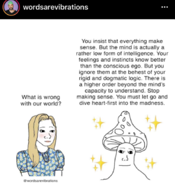 1661422443671.png