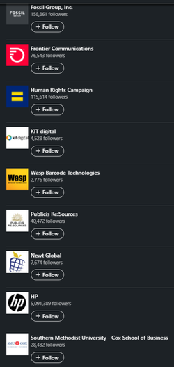 2022-08-25 17_13_37-Interests _ Lauren Babis, MBA _ LinkedIn - Brave.png