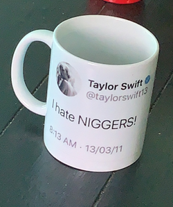 taylor swift niggers mug.png