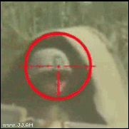 2D999D74-B24F-4A5C-9FF0-3AEF3AE4D86E.gif