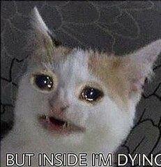 1b.jpeg
