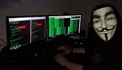 InsecureRepentantBoar-max-1mb.gif