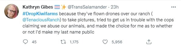 tran2.jpg