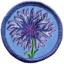 E602-cornflower.jpg