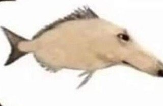 299882644_2168339776678215_8840839741253467622_n.jpg