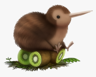 369-3691982_transparent-kiwi-bird-png-cute-cartoon-kiwi-bird.png