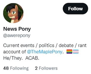 pony.jpg