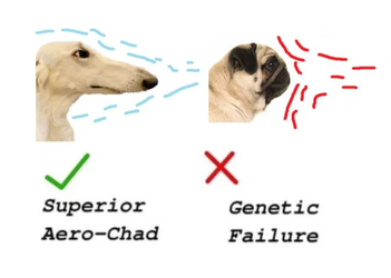 2mof4il1t0791.png