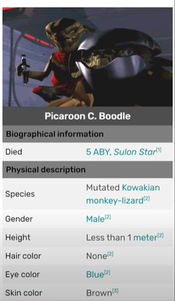 picaroonmonkeylizard.png