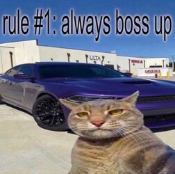 FB_IMG_1658358670712.jpg