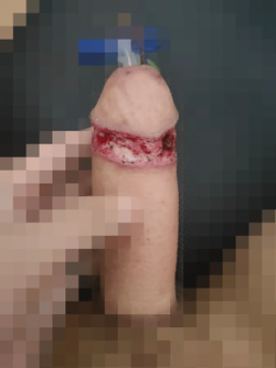 uq4qaswl93k91.png