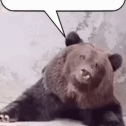 2C0BBB6E-D3BB-4EB7-AA52-DD0C01C22C86.gif 2C0BBB6E-D3BB-4EB7-AA52-DD0C01C22C86.gif