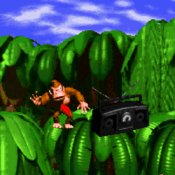 dk dance.gif