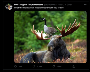 1661822698622.png