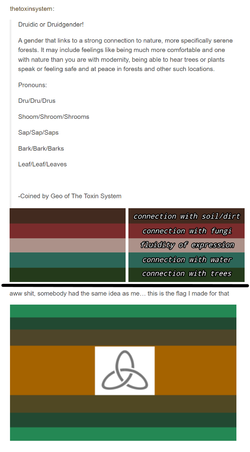 druidgender.png