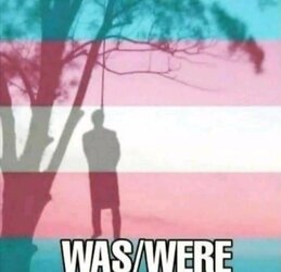 pronoun.jpg