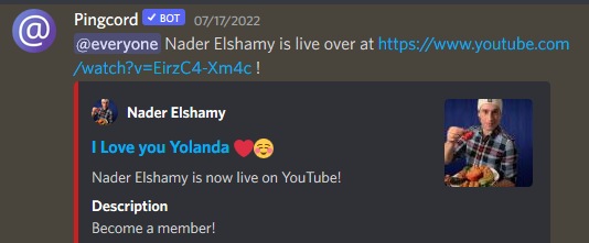 pingcord.png