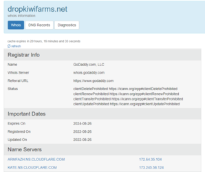 whois.png