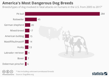 nigger of the dog world.png