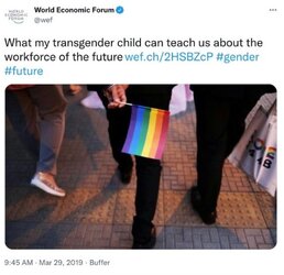 wef3.jpg
