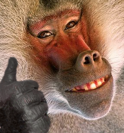 banan.png
