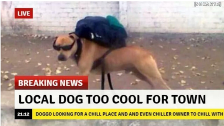 nigger.png
