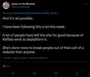 Screenshot 2022-08-31 at 15-28-04 Queen of the Mischief on Twitter.png