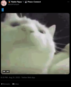 1661983951709.png