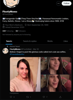 1661988862759.png