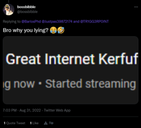 bibble lies.png