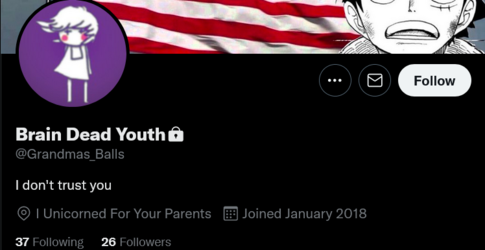 Screenshot 2022-09-01 at 03-55-57 Brain Dead Youth (@Grandmas_Balls) on Twitter.png