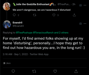Screenshot 2022-09-01 at 04-34-45 Evandril on Twitter.png