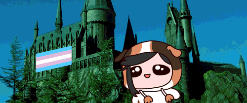 avada-assited-41%-kedavra.gif