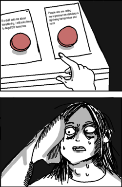 lucas.png