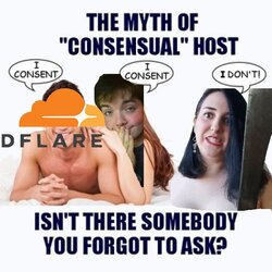 kiwi consent.jpg