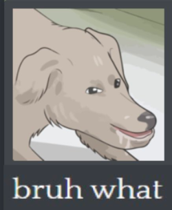 bruh what.png
