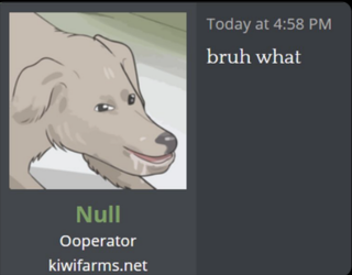 1662085263419.png