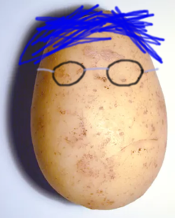 profile.png