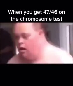 chromo.jpg