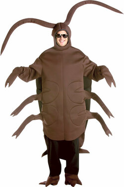 roach.jpg