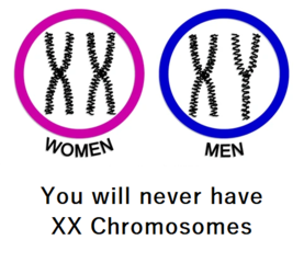 You will never have XX Chromosomes (1).png