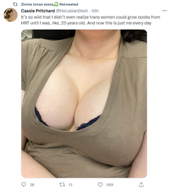 boobs.png