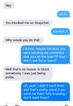 snapblocked1.jpg