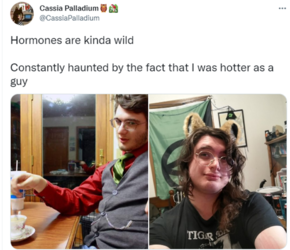 1662143774464.png